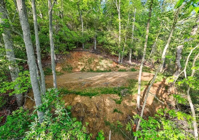 Photo 5 of Land for sale at 00 Fls View Dr #47, Bryson City, NC 28713 | MLS# 4400013 | Listing updated on 2026-09-03
