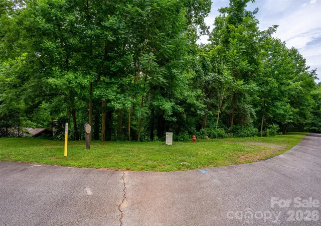 Homes for sale in Mill Spring, NC | 236 Nottingham Dr, Mill Spring, NC 28756 | MLS# 4400022