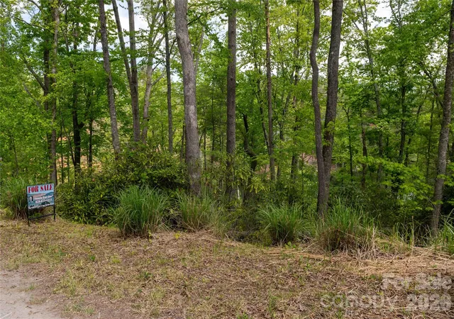 Homes for sale in Spruce Pine, NC | 00 Deer Park Lake Rd, Spruce Pine, NC 28777 | MLS# 4400039