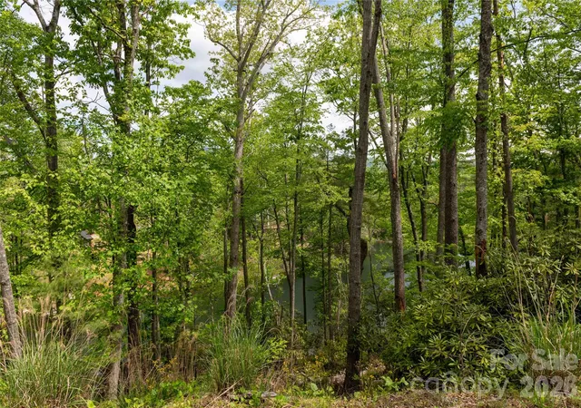 Homes for sale in Spruce Pine, NC | 00 Deer Park Lake Rd, Spruce Pine, NC 28777 | MLS# 4400039
