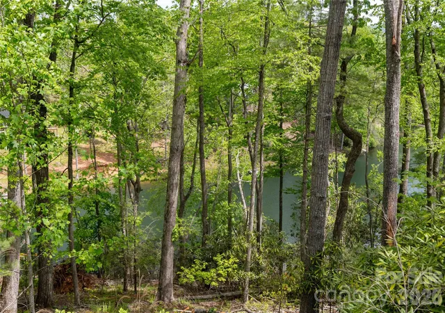 Homes for sale in Spruce Pine, NC | 00 Deer Park Lake Rd, Spruce Pine, NC 28777 | MLS# 4400039