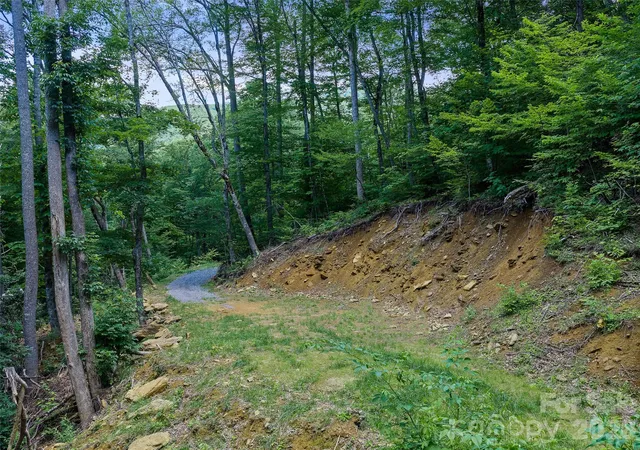 Homes for sale in Burnsville, NC | 000 Ogles Gap Rd, Burnsville, NC 28714 | MLS# 4400053
