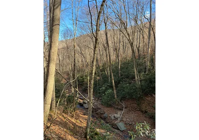 Homes for sale in Burnsville, NC | 000 Ogles Gap Rd, Burnsville, NC 28714 | MLS# 4400053