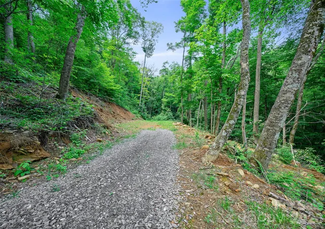 Homes for sale in Burnsville, NC | 000 Ogles Gap Rd, Burnsville, NC 28714 | MLS# 4400053