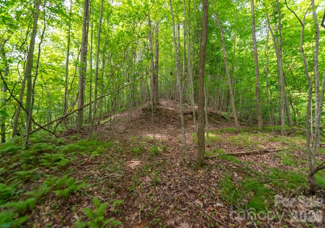 Photo 1 of Land for sale at ### Board Tree Rd #2, Marshall, NC 28753 | MLS# 4400078 | Listing updated on 2026-09-13