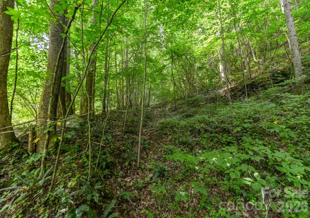 Homes for sale in Marshall, NC | ### Board Tree Rd #2, Marshall, NC 28753 | MLS# 4400078