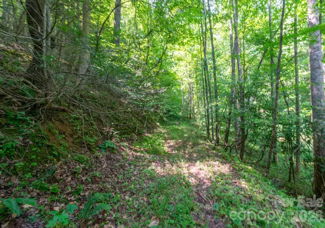 Homes for sale in Marshall, NC | ### Board Tree Rd #3, Marshall, NC 28753 | MLS# 4400103