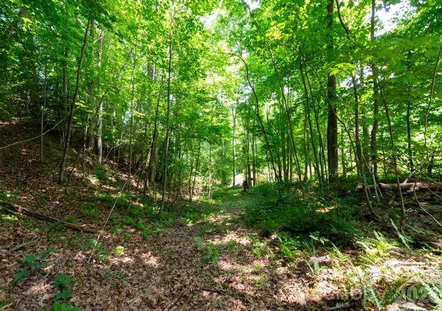 Homes for sale in Marshall, NC | ### Board Tree Rd #4, Marshall, NC 28753 | MLS# 4400131