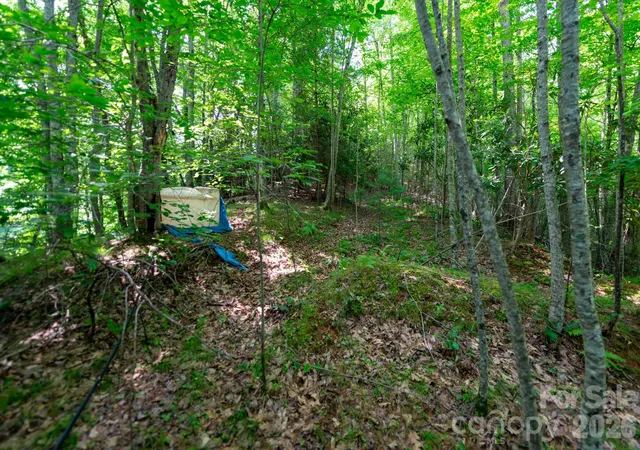 Homes for sale in Marshall, NC | ### Board Tree Rd #4, Marshall, NC 28753 | MLS# 4400131