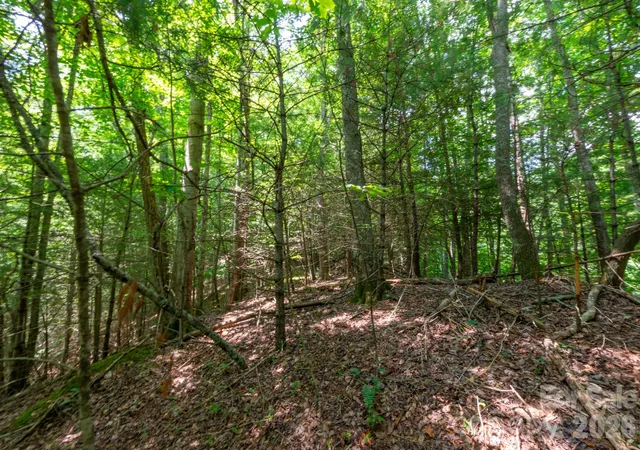 Homes for sale in Marshall, NC | ### Board Tree Rd #6, Marshall, NC 28753 | MLS# 4400136