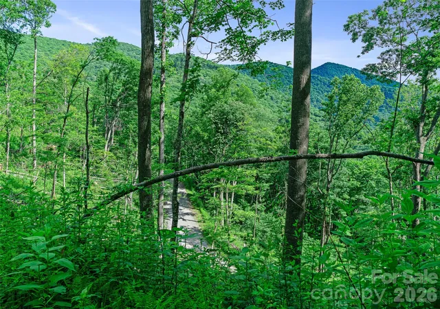 Photo 3 of Land for sale at 0 Ogle Meadows Rd #5, Burnsville, NC 28714 | MLS# 4400163 | Listing updated on 2026-09-02