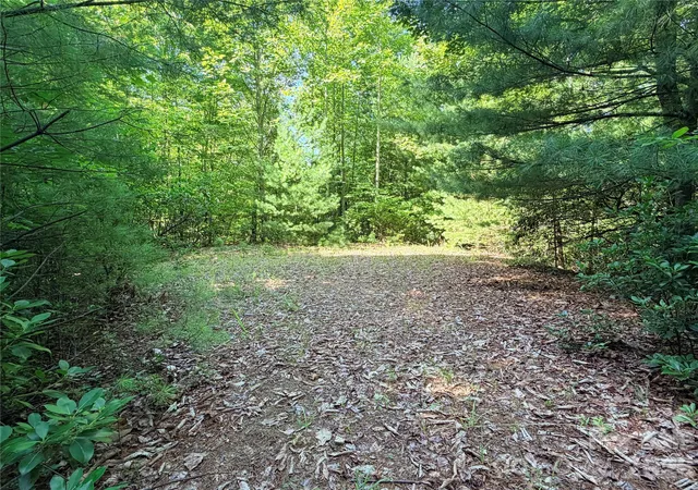 Homes for sale in Purlear, NC | Tbd Blue Rock Rd #171 & 172B, Purlear, NC 28665 | MLS# 4400252
