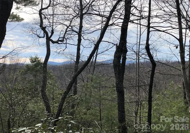 Homes for sale in Purlear, NC | Tbd Blue Rock Rd #171 & 172B, Purlear, NC 28665 | MLS# 4400252