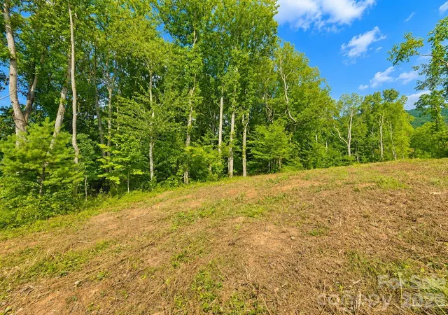 Photo 4 of Land for sale at 271 Sorrells Cvs Rd #C2, Waynesville, NC 28786 | MLS# 4400308 | Listing updated on 2026-09-30