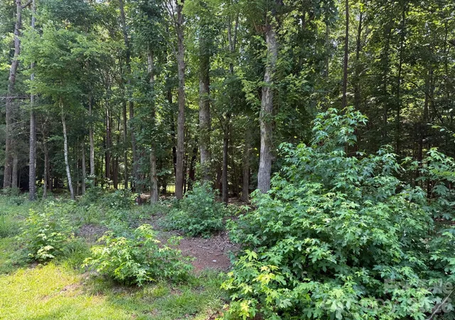 Land for sale at 3207 Regal Oak Dr, Waxhaw, NC 28173 | MLS# 4400431
