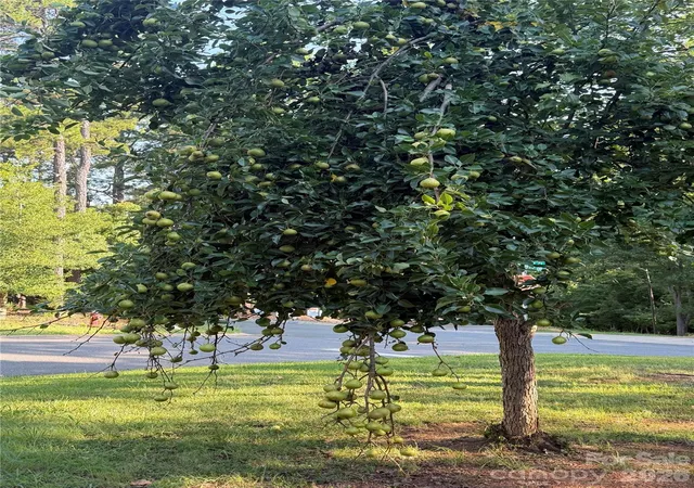 3rd image of 7037 Cambridge Ct, Fort Mill, SC 29708 | MLS# 4400442