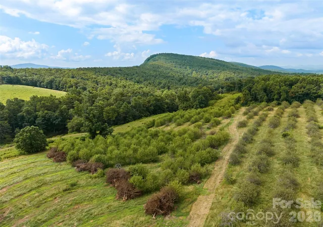 3rd image of 0 Summer Rd #5, Hendersonville, NC 28792 | MLS# 4400605