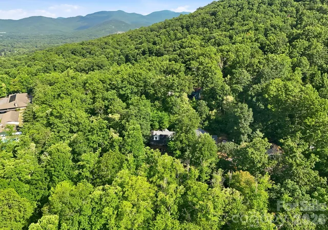 Homes for sale in Black Mountain, NC | 2 Coneflower Ct, Black Mountain, NC 28711 | MLS# 4400638