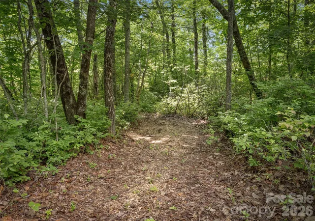 Homes for sale in Lake Toxaway, NC | Lot 42 Spencer Ln #MR42, Lake Toxaway, NC 28747 | MLS# 4400649