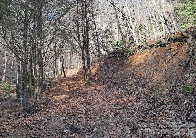 3rd image of 9999 Off Hurricane Ridge Tr, Clyde, NC 28721 | MLS# 4400664