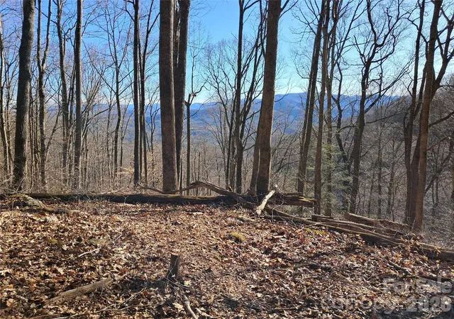 4th image of 9999 Off Hurricane Ridge Tr, Clyde, NC 28721 | MLS# 4400664