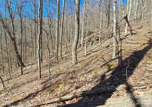 5th image of 9999 Off Hurricane Ridge Tr, Clyde, NC 28721 | MLS# 4400664