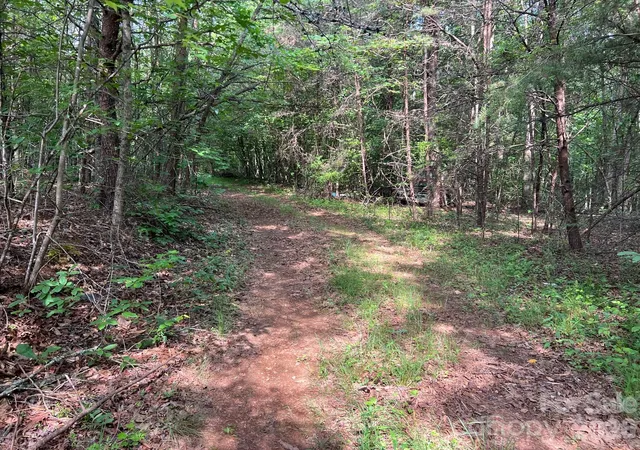 21st image of 0 Gold Mine Rd, Morganton, NC 28655 | MLS# 4400760