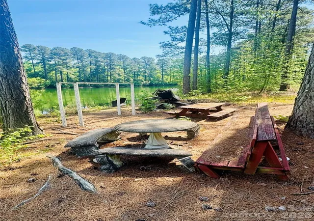 Photo 3 of Land for sale at 5326 Judson Rd, Clio, SC 29525 | MLS# 4400767 | Listing updated on 2026-09-25