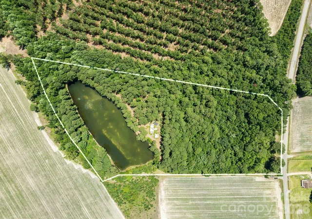 Photo 3 of Land for sale at 5326 Judson Rd, Clio, SC 29525 | MLS# 4400767 | Listing updated on 2026-09-25