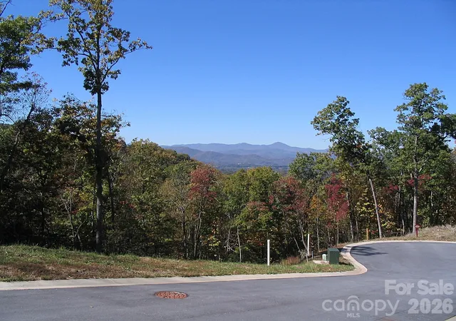 Homes for sale in Hendersonville, NC | 101 Wood Owl Ct, Hendersonville, NC 28791 | MLS# 4400771