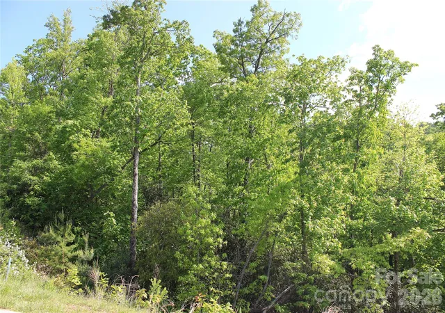 Homes for sale in Hendersonville, NC | 101 Wood Owl Ct, Hendersonville, NC 28791 | MLS# 4400771