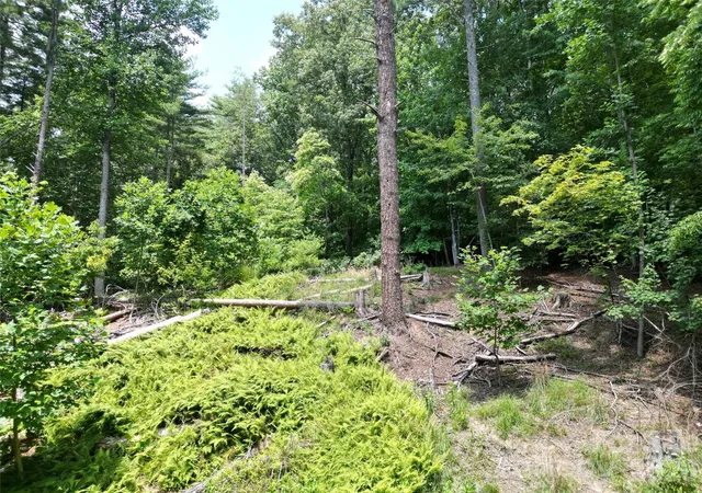 Homes for sale in Pisgah Forest, NC | 319 Valley Ln, Pisgah Forest, NC 28768 | MLS# 4400848