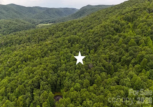 Photo 3 of Land for sale at 364 Big Bear Trl #24, Zirconia, NC 28790 | MLS# 4400857 | Listing updated on 2026-07-15