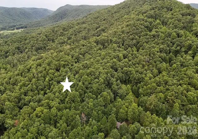 Photo 4 of Land for sale at 365 Big Bear Trl #25, Zirconia, NC 28790 | MLS# 4400881 | Listing updated on 2026-07-15