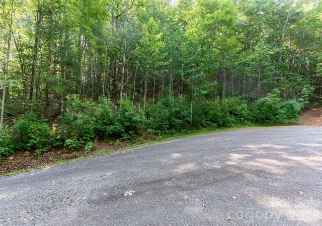 Homes for sale in Saluda, NC | 00 Rhododendron Dr #15 & 16, Saluda, NC 28773 | MLS# 4400909
