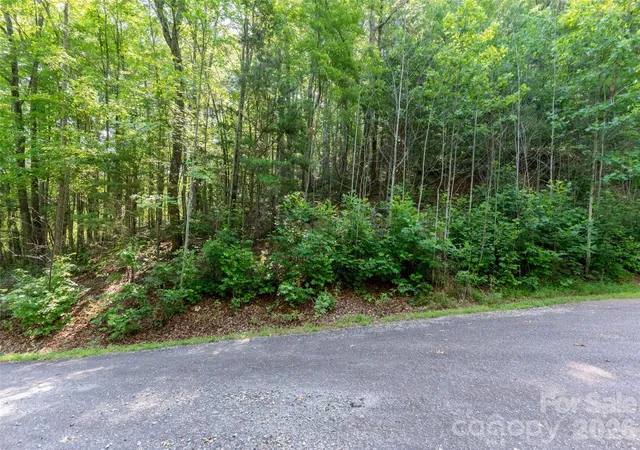 Homes for sale in Saluda, NC | 00 Rhododendron Dr #15 & 16, Saluda, NC 28773 | MLS# 4400909