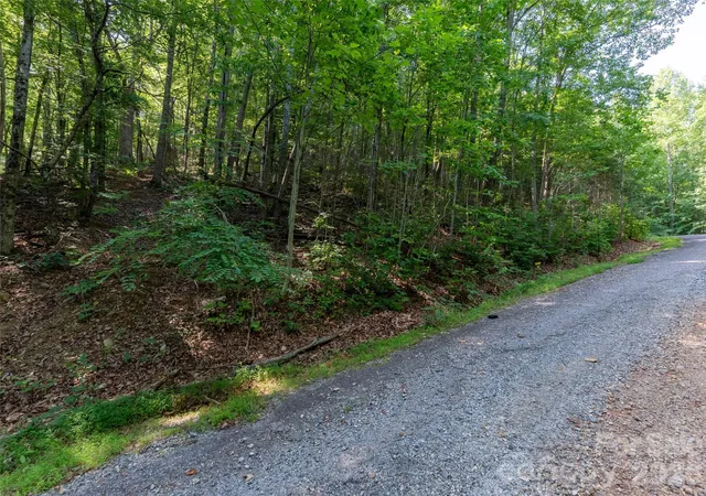 Homes for sale in Saluda, NC | 00 Rhododendron Dr #15 & 16, Saluda, NC 28773 | MLS# 4400909