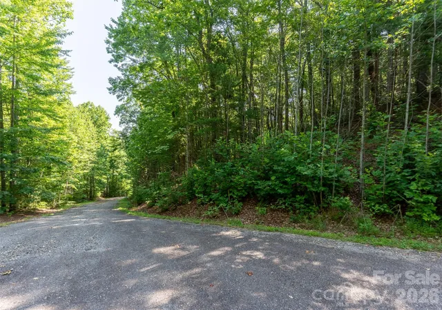 Homes for sale in Saluda, NC | 00 Rhododendron Dr #15 & 16, Saluda, NC 28773 | MLS# 4400909