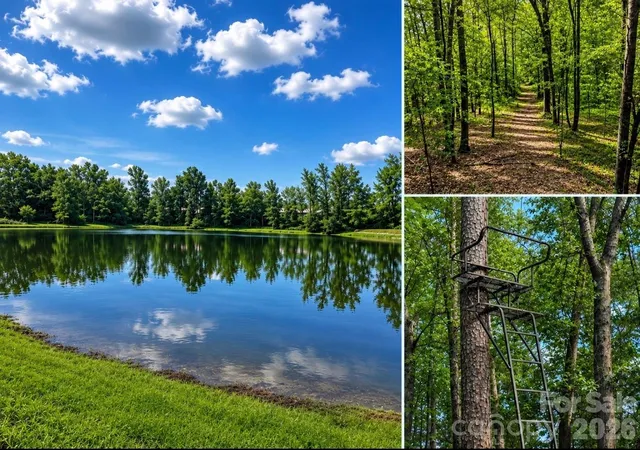 Photo 3 of Single family home for sale at 5453 White Plains Church Rd, Pageland, SC 29728 | MLS# 4400925 | Listing updated on 2026-09-03