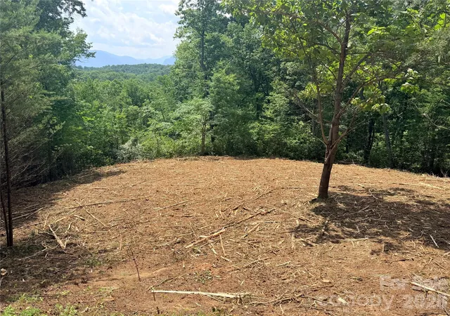 1st image of 0 Rock Ledge Dr #247, Lake Lure, NC 28746 | MLS# 4400963