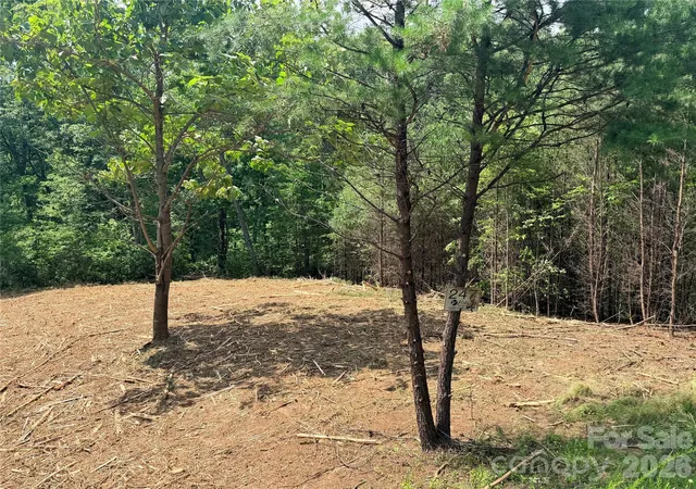 3rd image of 0 Rock Ledge Dr #247, Lake Lure, NC 28746 | MLS# 4400963