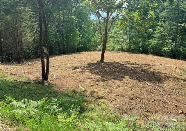 4th image of 0 Rock Ledge Dr #247, Lake Lure, NC 28746 | MLS# 4400963