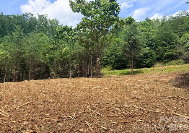 5th image of 0 Rock Ledge Dr #247, Lake Lure, NC 28746 | MLS# 4400963