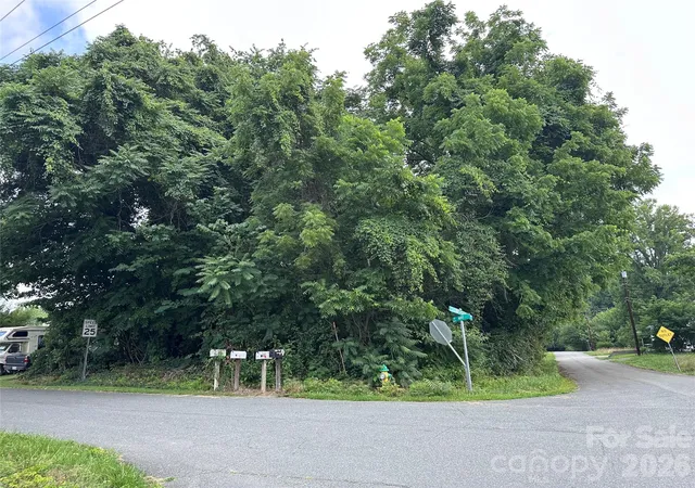 Homes for sale in Mount Airy, NC | 130 May St, Mount Airy, NC 27030 | MLS# 4401001