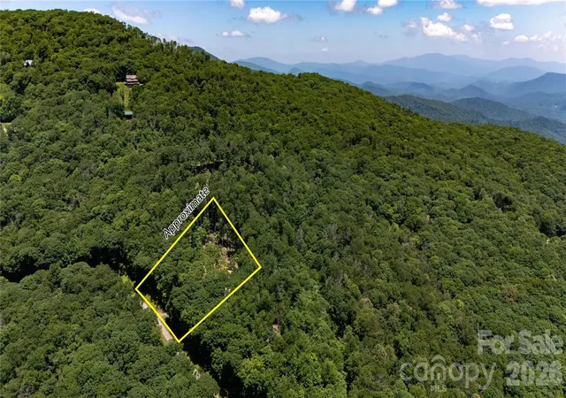 Homes for sale in Mars Hill, NC | 000 Hamlin Ln, Mars Hill, NC 28754 | MLS# 4401149