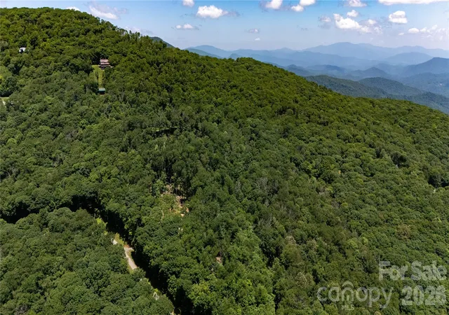 Homes for sale in Mars Hill, NC | 000 Hamlin Ln, Mars Hill, NC 28754 | MLS# 4401149