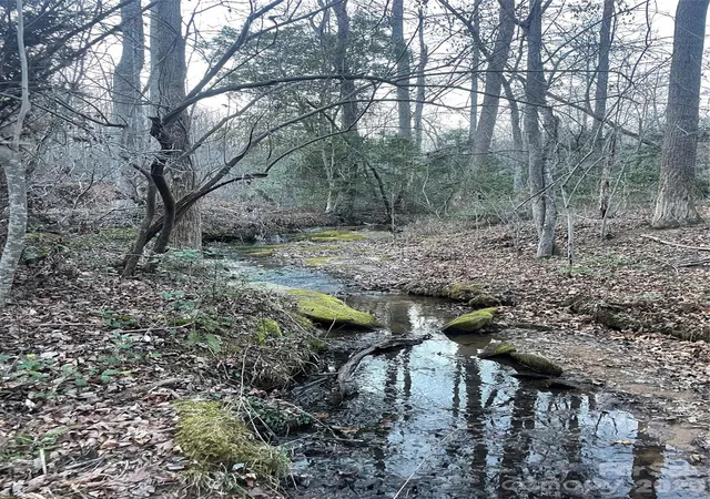 3rd image of 0000 Norman Parker Rd, Lawndale, NC 28090 | MLS# 4401178
