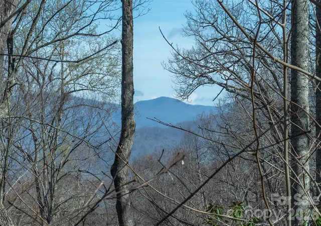 Photo 3 of Land for sale at 1279 Arborcrest Way #38, Swannanoa, NC 28778 | MLS# 4401196 | Listing updated on 2026-07-10