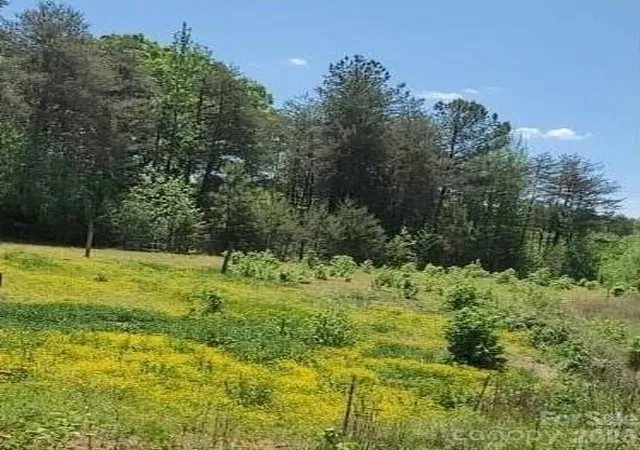 Photo 2 of Land for sale at 2195 Otis Dellinger Rd, Lincolnton, NC 28092 | MLS# 4401218 | Listing updated on 2026-07-07