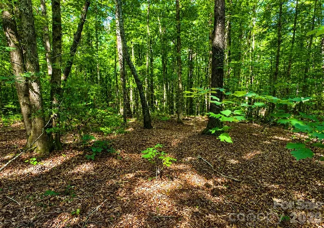 Homes for sale in Nebo, NC | 49 Trillium Trl, Nebo, NC 28761 | MLS# 4401240
